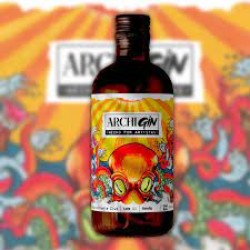 ARCHI GIN 500ML